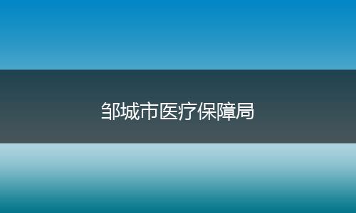 邹城市医疗保障局