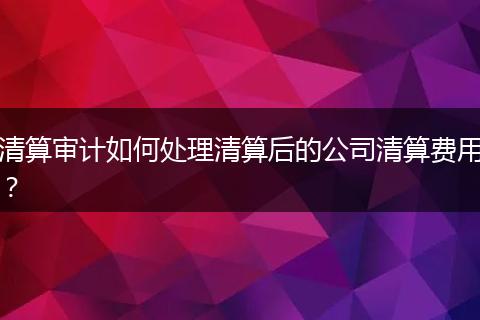 清算审计如何处理清算后的公司清算费用?