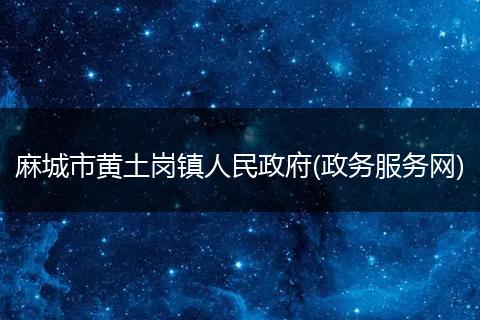 麻城市黄土岗镇人民政府(政务服务网)