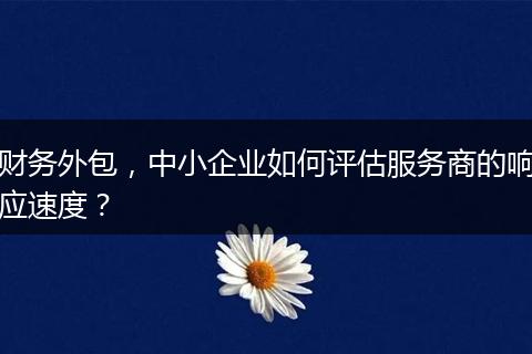 财务外包，中小企业如何评估服务商的响应速度？