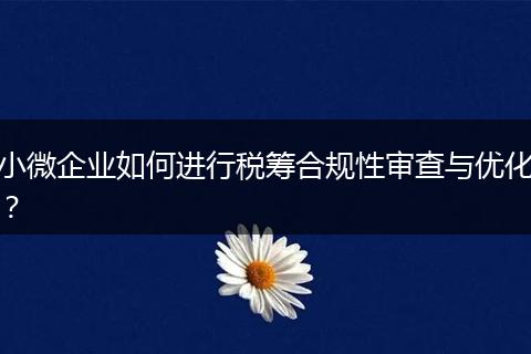 小微企业如何进行税筹合规性审查与优化?