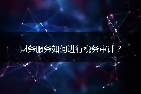财务服务如何进行税务审计？