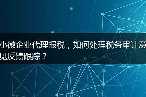 小微企业代理报税，如何处理税务审计意见反馈跟踪？