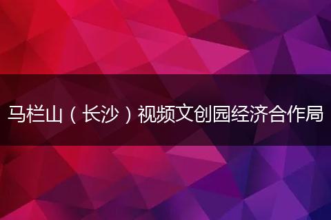 马栏山（长沙）视频文创园经济合作局