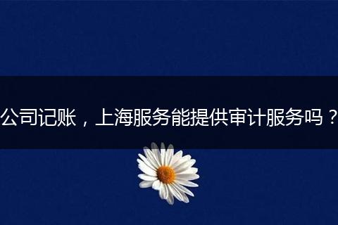 公司记账,上海服务能提供审计服务吗?
