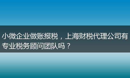 小微企业做账报税，上海财税代理公司有专业税务顾问团队吗？