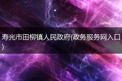 寿光市田柳镇人民政府(政务服务网入口)