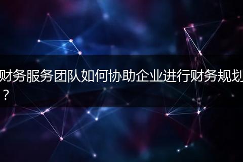 财务服务团队如何协助企业进行财务规划？
