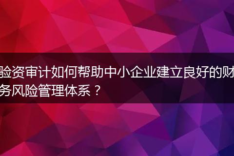 验资审计如何帮助中小企业建立良好的财务风险管理体系？