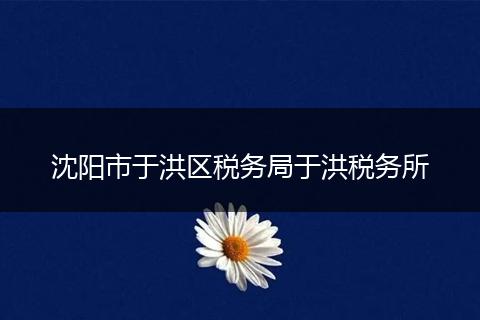 沈阳市于洪区税务局于洪税务所