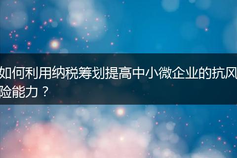 如何利用纳税筹划提高中小微企业的抗风险能力?