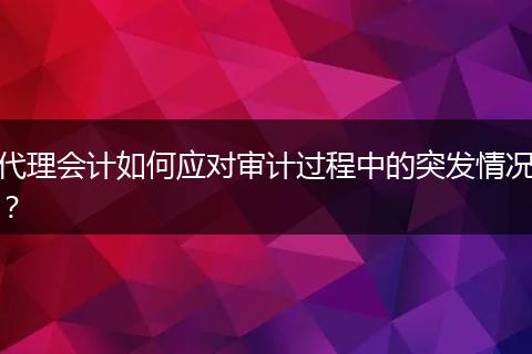 代理会计如何应对审计过程中的突发情况?