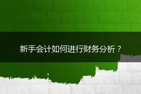 新手会计如何进行财务分析?