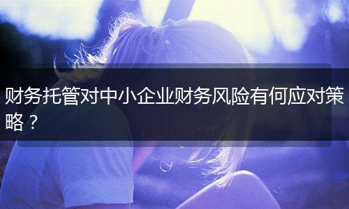 财务托管对中小企业财务风险有何应对策略?