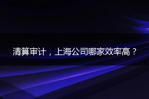 清算审计,上海公司哪家效率高?