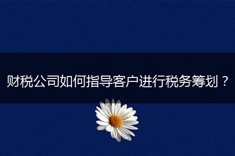 财税公司如何指导客户进行税务筹划？