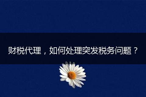 财税代理，如何处理突发税务问题？