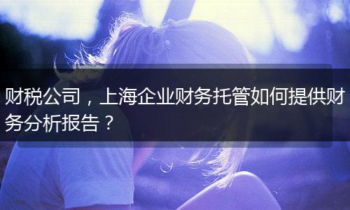 财税公司，上海企业财务托管如何提供财务分析报告？