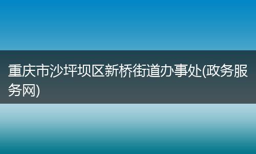 重庆市沙坪坝区新桥街道办事处(政务服务网)