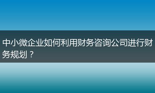 中小微企业如何利用财务咨询公司进行财务规划？