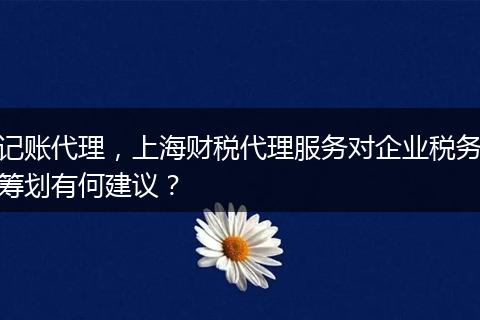记账代理，上海财税代理服务对企业税务筹划有何建议？