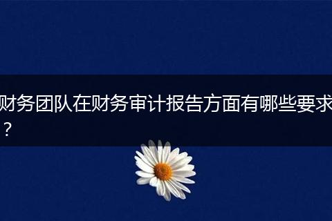 财务团队在财务审计报告方面有哪些要求？