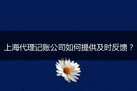 上海代理记账公司如何提供及时反馈？