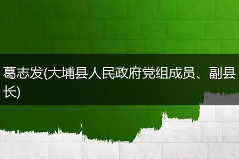 葛志发(大埔县人民政府党组成员、副县长)