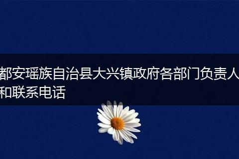 都安瑶族自治县大兴镇政府各部门负责人和联系电话