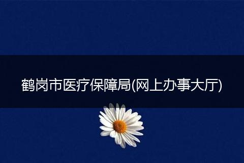 鹤岗市医疗保障局(网上办事大厅)