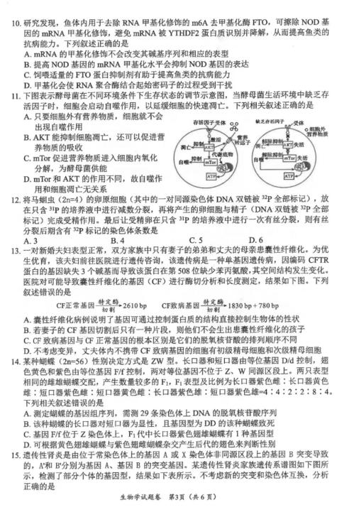2024年绵阳一诊生物考试答案