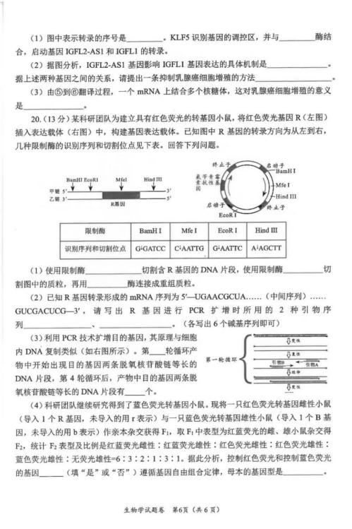 2024年绵阳一诊生物考试答案