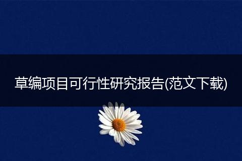 草编项目可行性研究报告(范文下载)