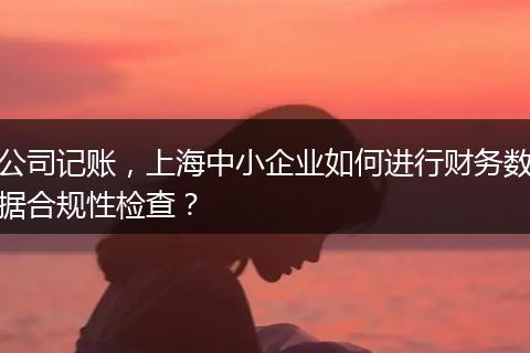 公司记账，上海中小企业如何进行财务数据合规性检查？