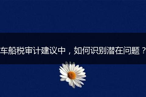 车船税审计建议中，如何识别潜在问题？
