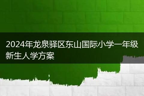 2024年龙泉驿区东山国际小学一年级新生人学方案