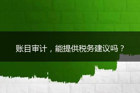 账目审计，能提供税务建议吗？