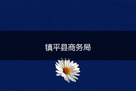 镇平县商务局