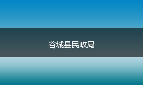 谷城县民政局
