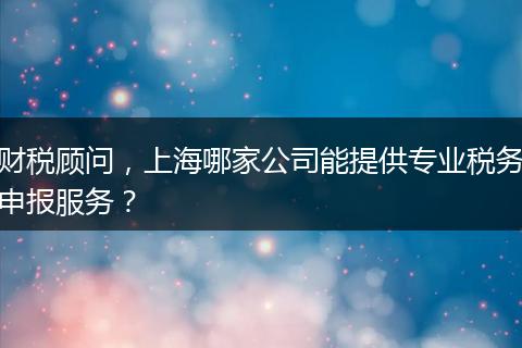 财税顾问,上海哪家公司能提供专业税务申报服务?