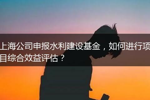 上海公司申报水利建设基金,如何进行项目综合效益评估?