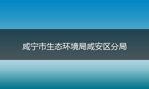 咸宁市生态环境局咸安区分局
