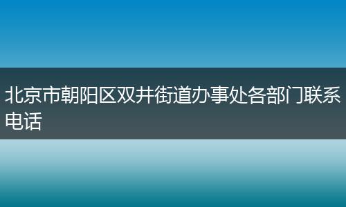 北京市朝阳区双井街道办事处各部门联系电话