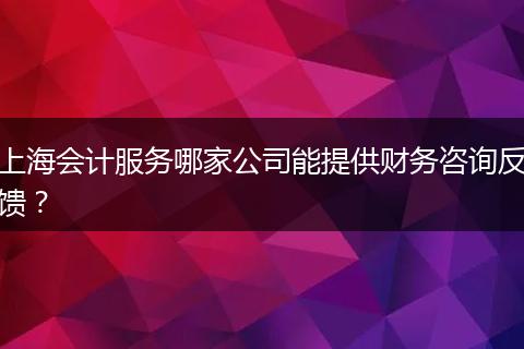 上海会计服务哪家公司能提供财务咨询反馈?