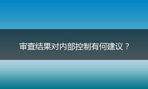 审查结果对内部控制有何建议?