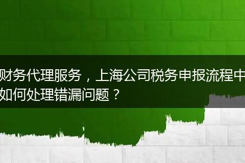 财务代理服务,上海公司税务申报流程中如何处理错漏问题?