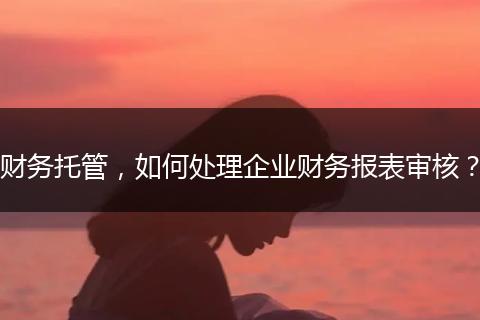 财务托管,如何处理企业财务报表审核?