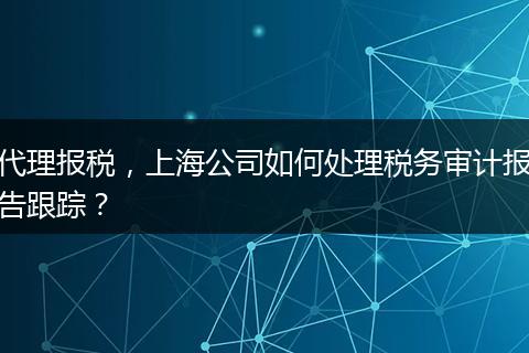 代理报税,上海公司如何处理税务审计报告跟踪?