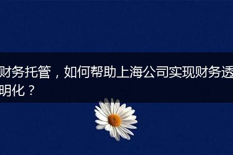 财务托管,如何帮助上海公司实现财务透明化?