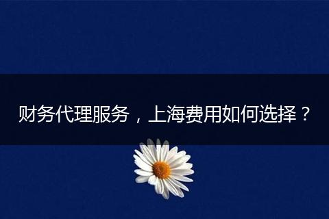财务代理服务,上海费用如何选择?